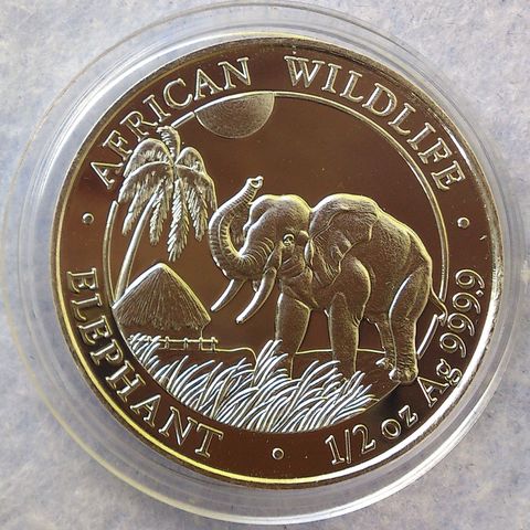 2017, African Wildlife, Elephant, 1/2 oz, 9999 sølv.