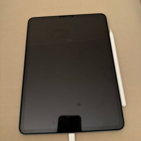 iPad pro 11 tommer (3 generasjon) 256 gb