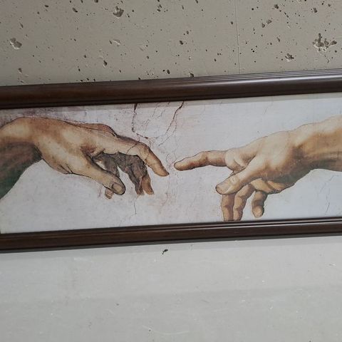 Michelangelo bilde