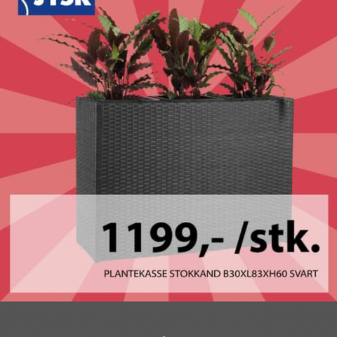 Stokkand Plantekasser, 4 stk