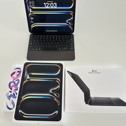 iPad Pro 11" M4 (2024) sort 256gb, med tilbehør