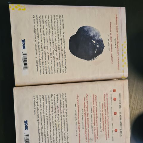 Drapet på kommandanten. Haruki Murakami.