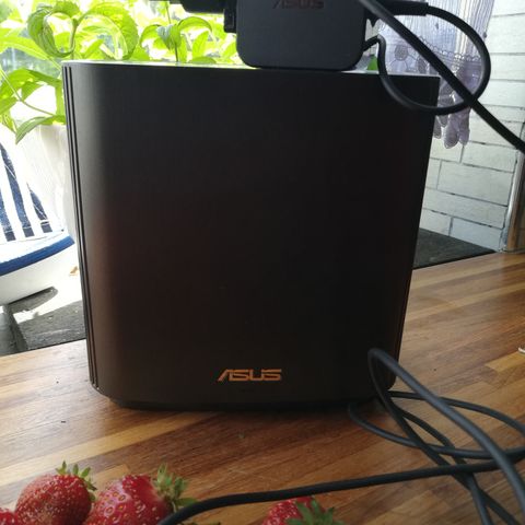 ASUS AX6600, Tri-band Wifi Router