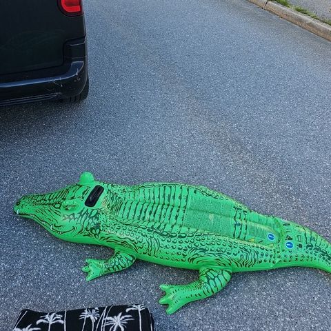 Strandteppe og krokodille badeleke