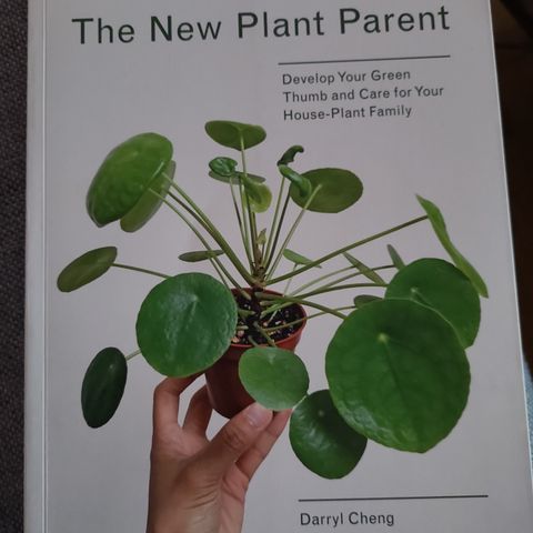 The new plant parent