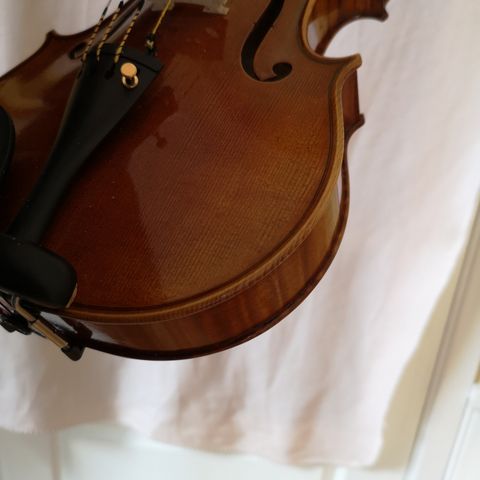 Cremonese violin selges.