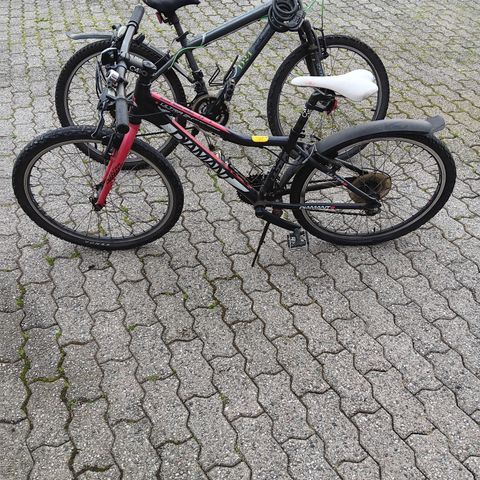 To barne sykler  gi bort ( PS den er reservert)