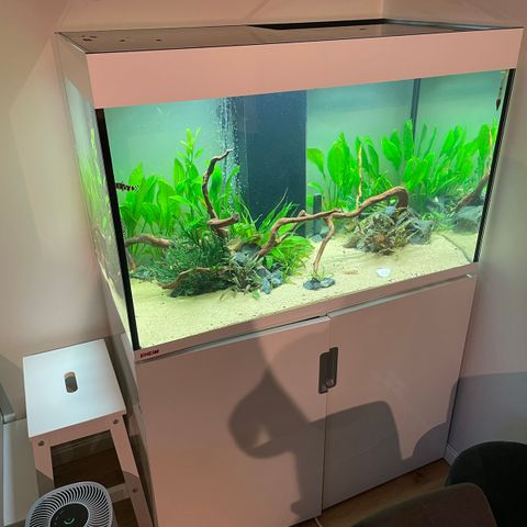 300L akvarium med alt inkludert!