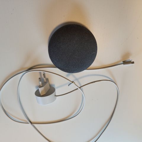 Google Home Mini