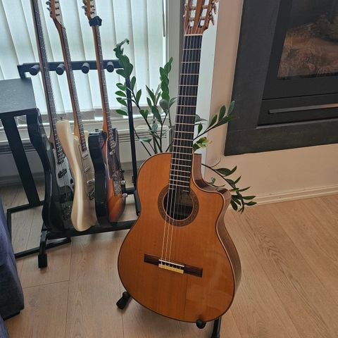 Larrivee LSV-30 klassisk gitar for de kresne