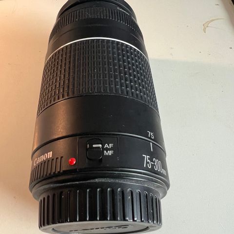 Canon EF 75-300mm f/4-5.6 III