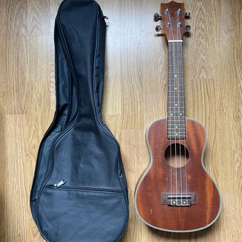 Ukulele - Fin stand