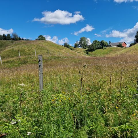 Leie av innenmarksbeite, ca.65 mål i Askim