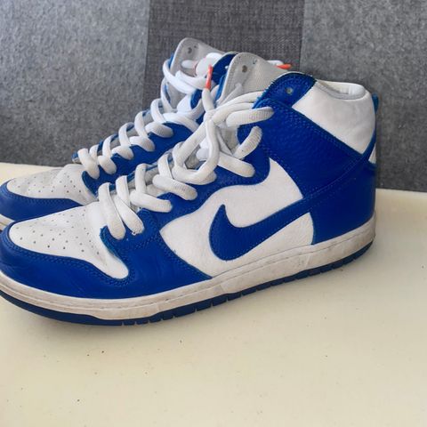 Nike Dunk (46)