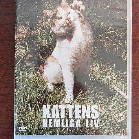 National Geographic: Kattens Hemliga Liv (1999) DVD Film