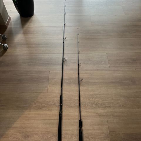 Ugly Stik GX2 10' 20-80g