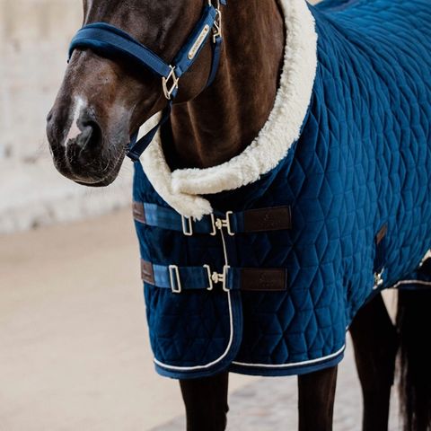 Kentucky velvet show rug