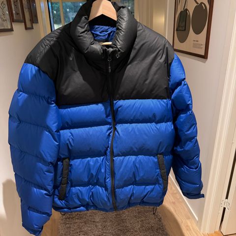 The North Face 1996 retro Nuptse