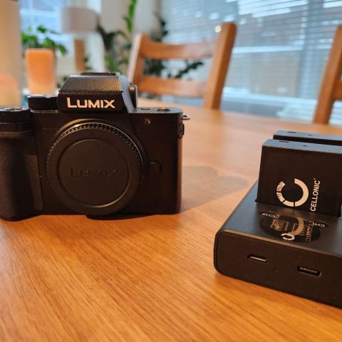 Panasonic Lumix DMC-G100