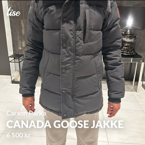 Canada Goose Carson