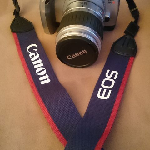 Canon EOS 300v