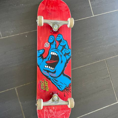 Santa cruz skateboard