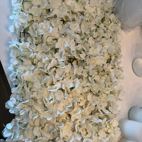 Blomstervegg hvit (blomster plater)