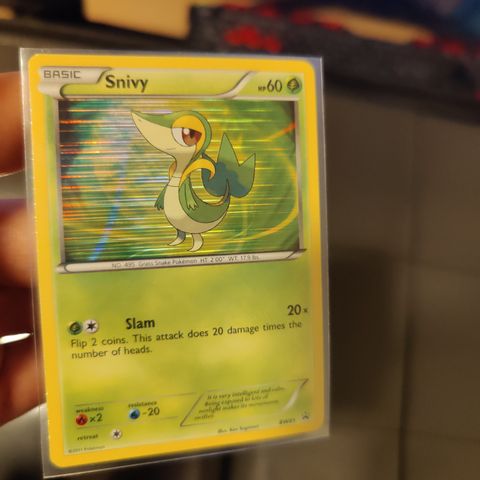 Snivy #bw01