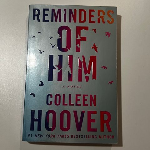 Reminders of him av Colleen Hoover