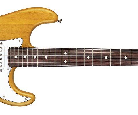 Fender Stratocaster American Highway One