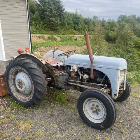 Ferguson te20 (gråtass) diesel traktor med bakskuff