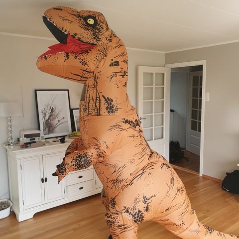 Oppblåsbar Dinosaur Kostyme