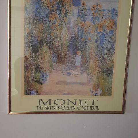 Monet Garden