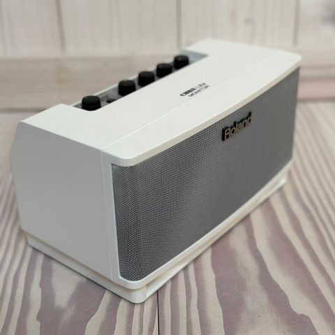 Roland Cube Lite monitor