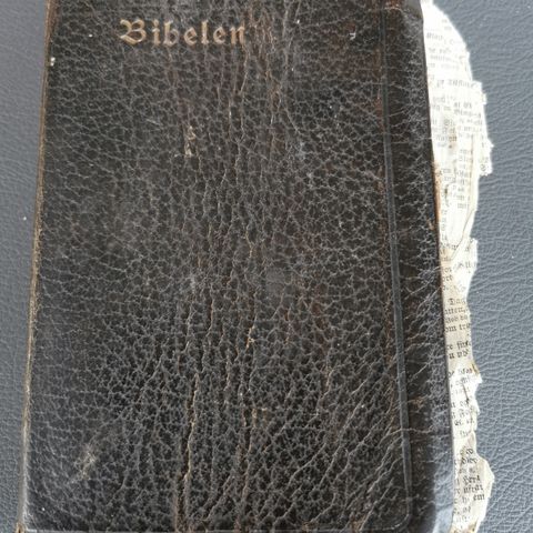 BIBEL FRA 1920