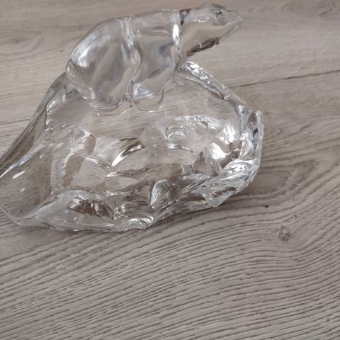 isbjørn på glassbakke