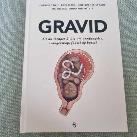 Gravid