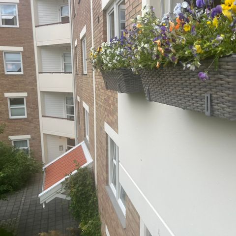 2 x blomsterkasser med oppheng til balkonggelender