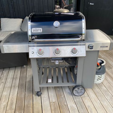 Weber Gassgrill Genesis II