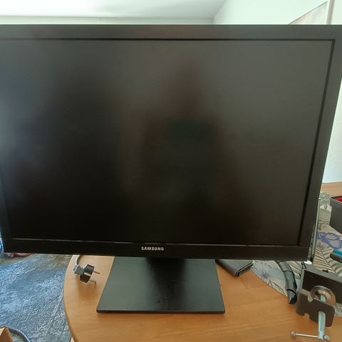 Samsung LS24A450 skjerm