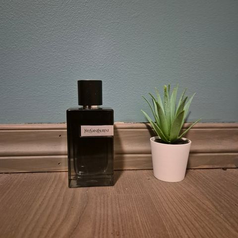 YSL Y EDP