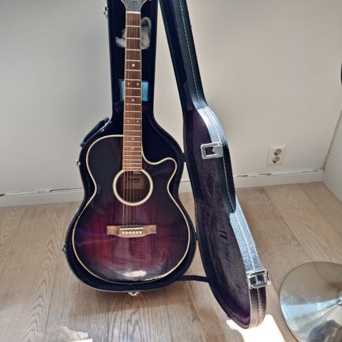 Jasmine by Takamine halvakustisk  gitar med hardcase