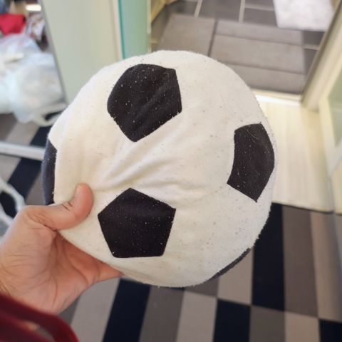 Fotballpute