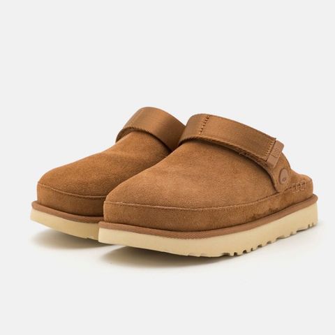 Ugg Goldenstar