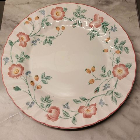 Reservert - Churchill - Staffordshire - Briar Rose - tallerkener