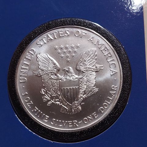1996 American Silver Eagle 1 oz Usirkulert