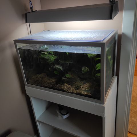 Akvarium 70 liter