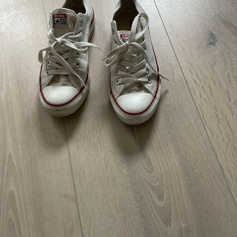 Hvite Converse strl 38