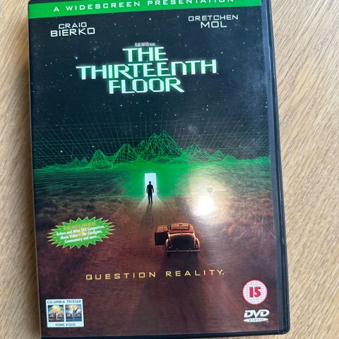 The Thirteenth floor