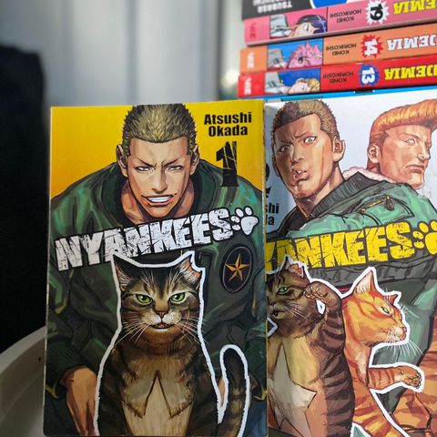 Div Manga selges! (My hero academia, Blue period, Haikyuu, nyankees)